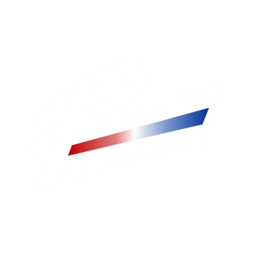 Raplyz Fusion logo
